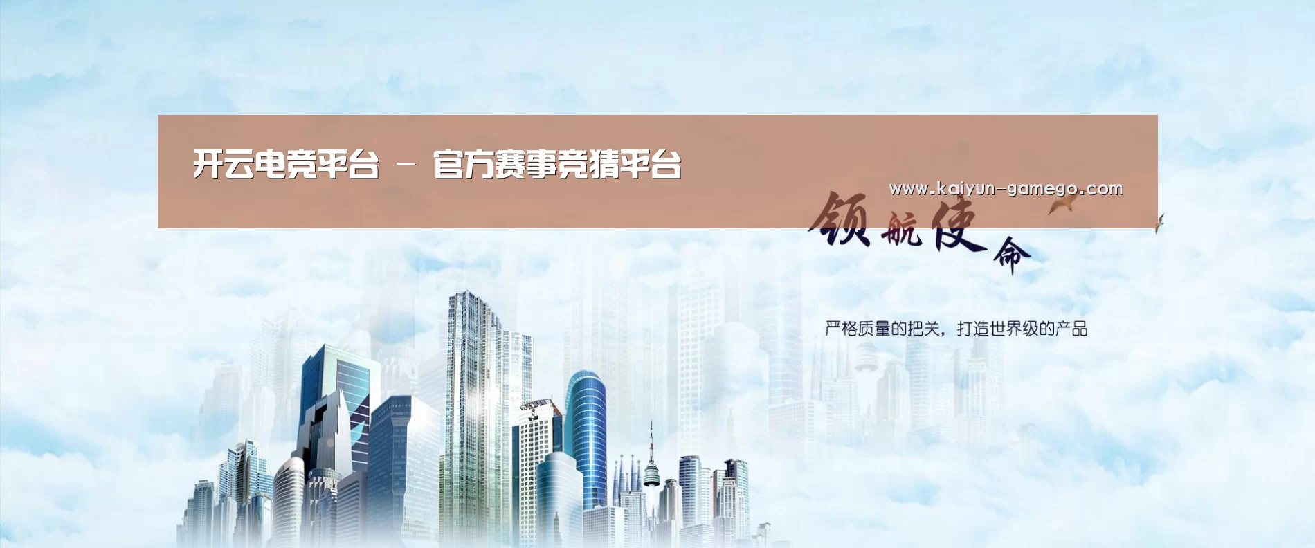 开云体育公司
