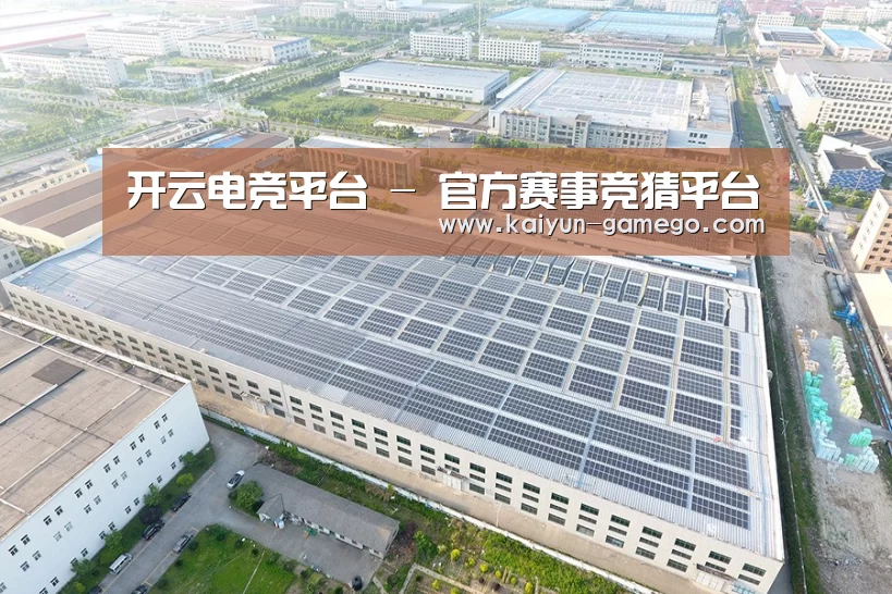 案例展示一