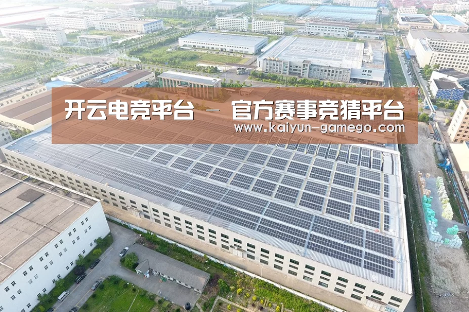 案例展示二