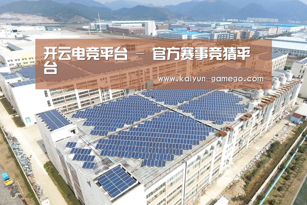 案例展示一