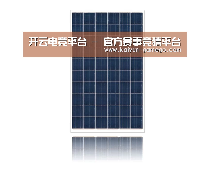 产品名称一