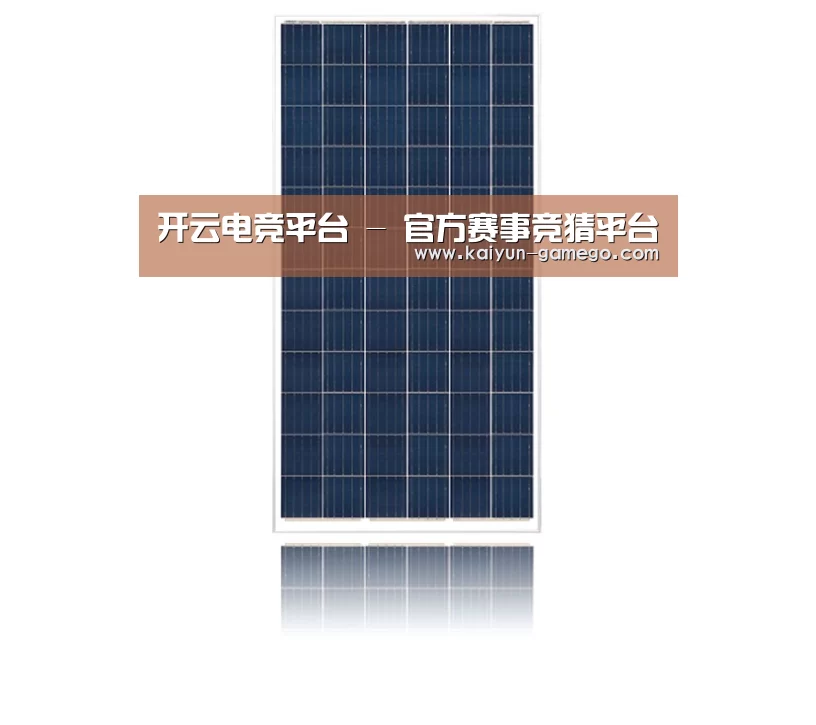 产品名称一
