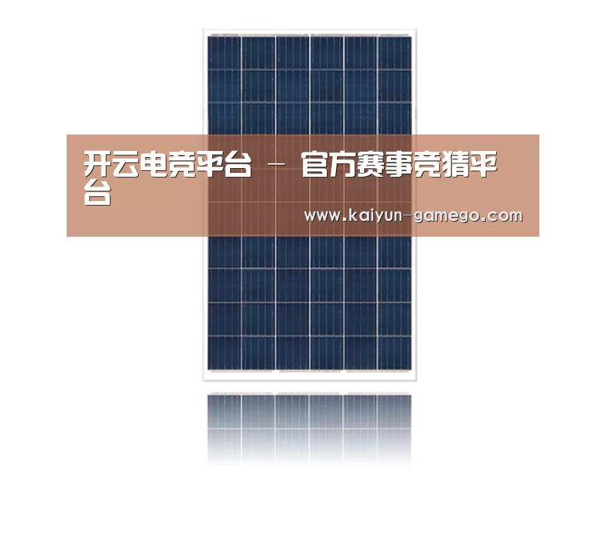 产品名称一