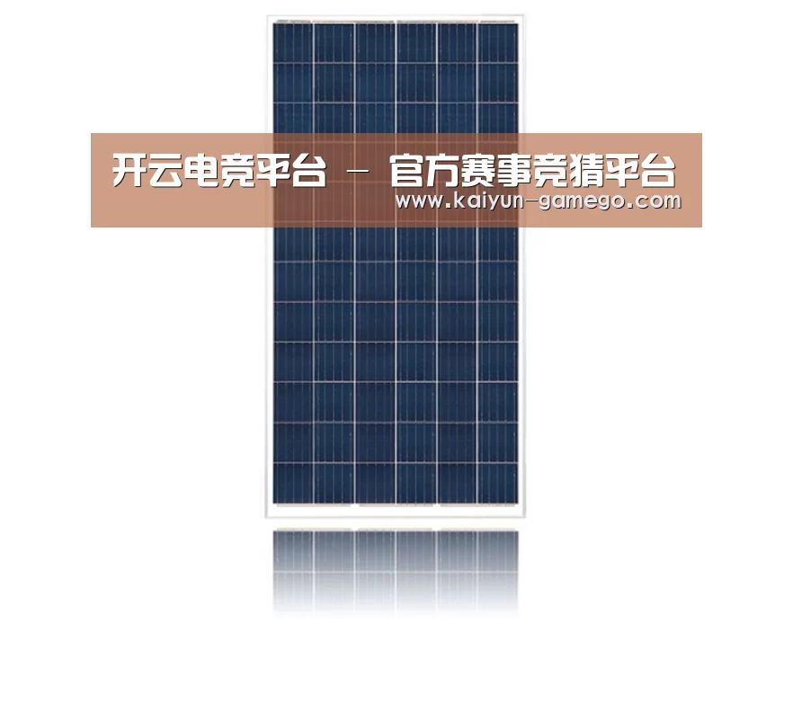 产品名称一
