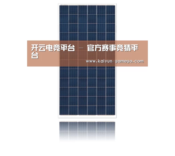 产品名称一