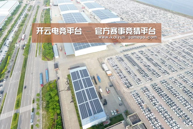 案例展示二