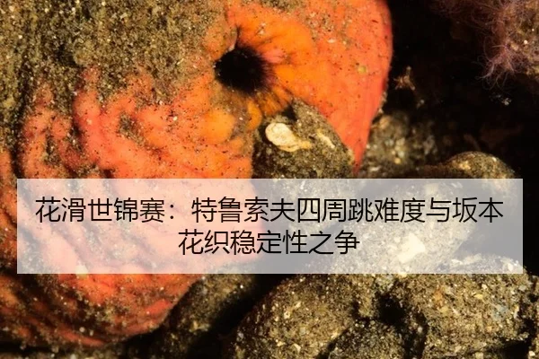 hua-hua-shi-jin-sai-te-lu-suo-fu-si-zhou-tiao-nan-du-yu-ban-ben-hua-zhi-wen-ding-xing-zhi-zheng-3-271.jpg