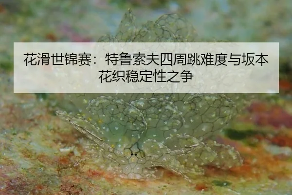 花滑世锦赛：特鲁索夫四周跳难度与坂本花织稳定性之争