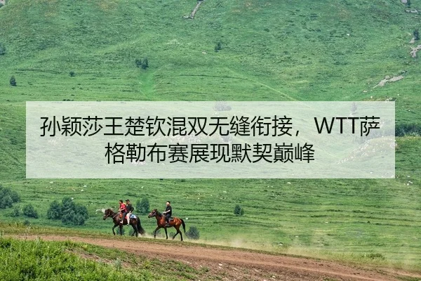 孙颖莎王楚钦混双无缝衔接，WTT萨格勒布赛展现默契巅峰