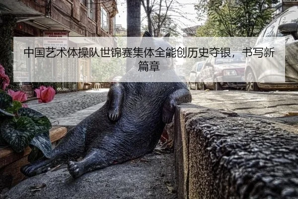 zhong-guo-yi-shu-ti-cao-dui-shi-jin-sai-ji-ti-quan-neng-chuang-li-shi-duo-yin-shu-xie-xin-pian-zhang-3-376.jpg
