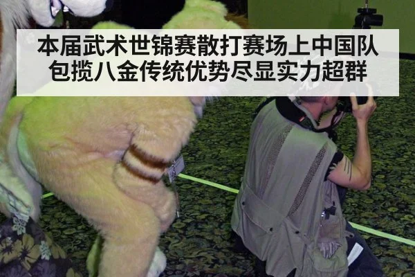本届武术世锦赛散打赛场上中国队包揽八金传统优势尽显实力超群