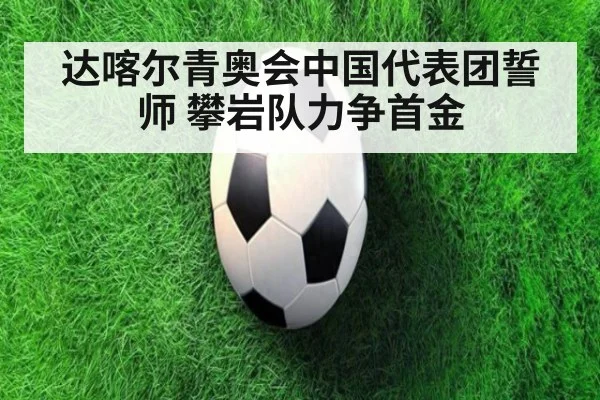 达喀尔青奥会中国代表团誓师 攀岩队力争首金